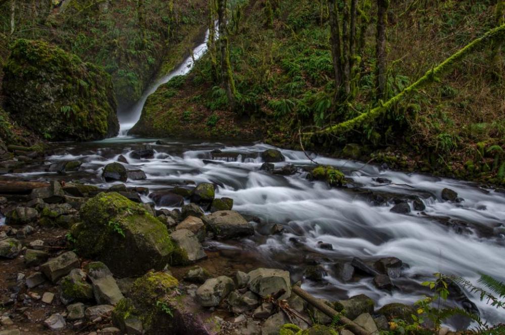 waterfall stream water nature green waterfall stream water nature green