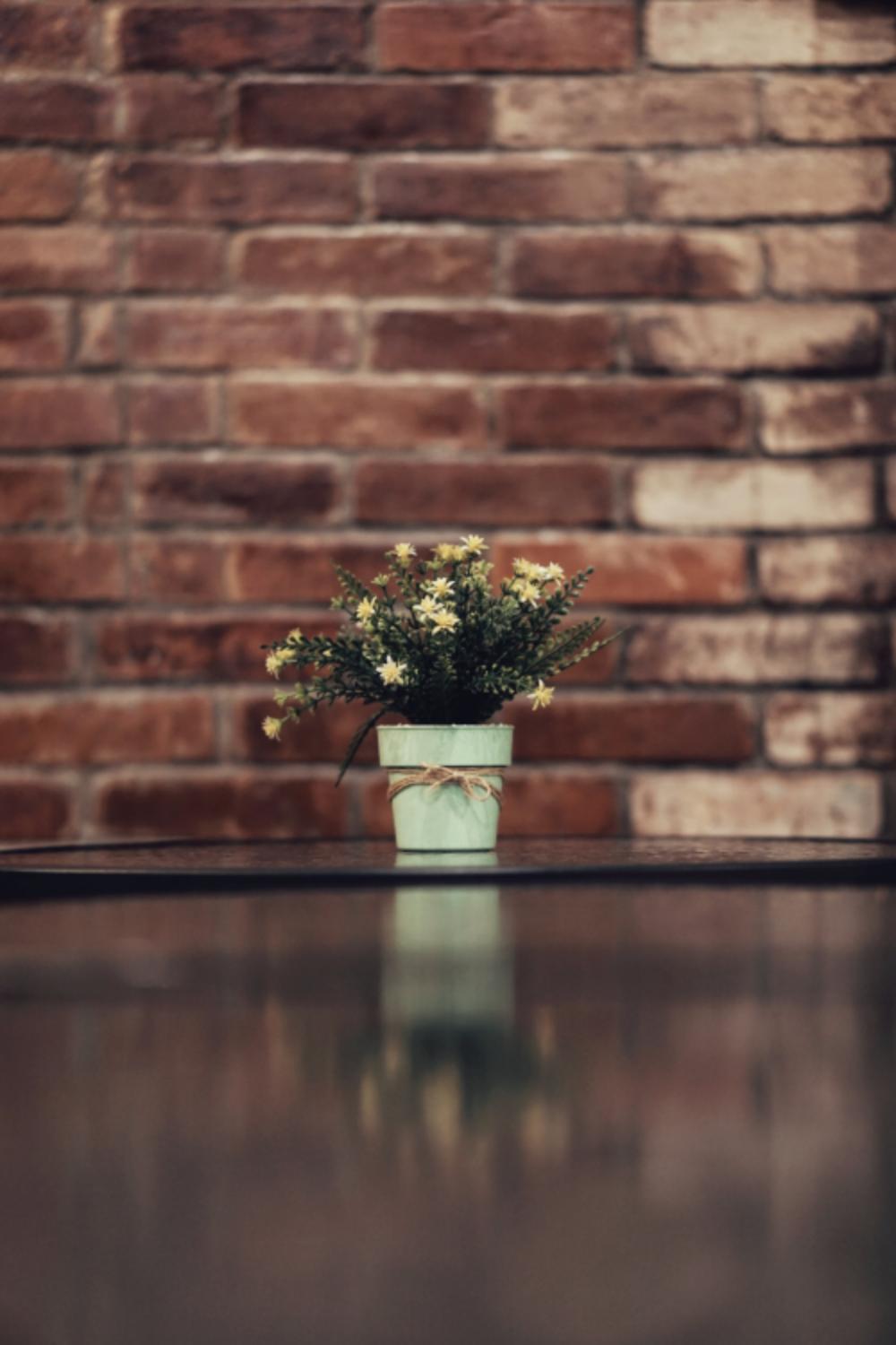 flowers pat plant bricks relection flowers pat plant bricks relection