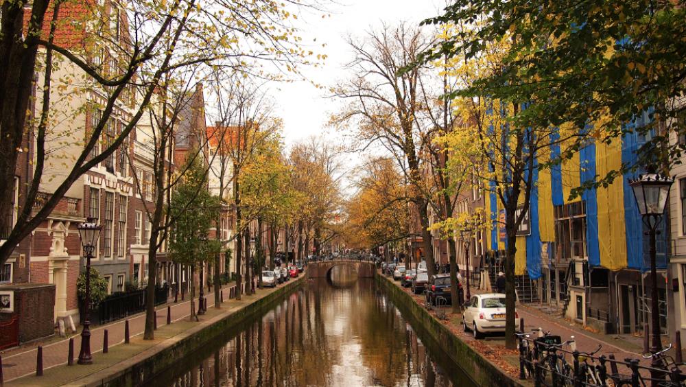 water canal streets trees fall water canal streets trees fall