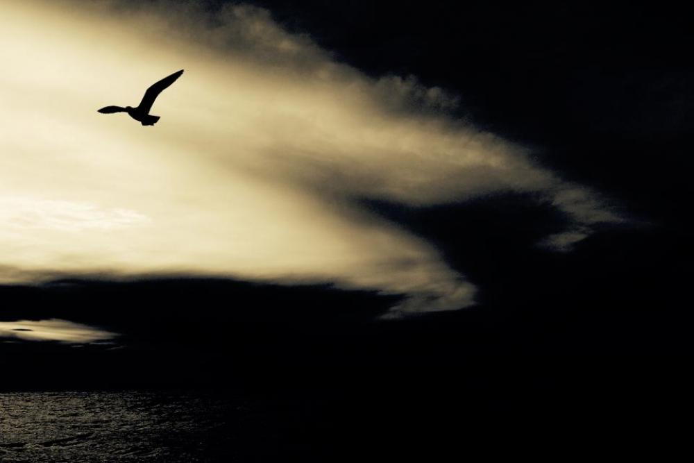 nature water sea ocean clouds nature water sea ocean clouds