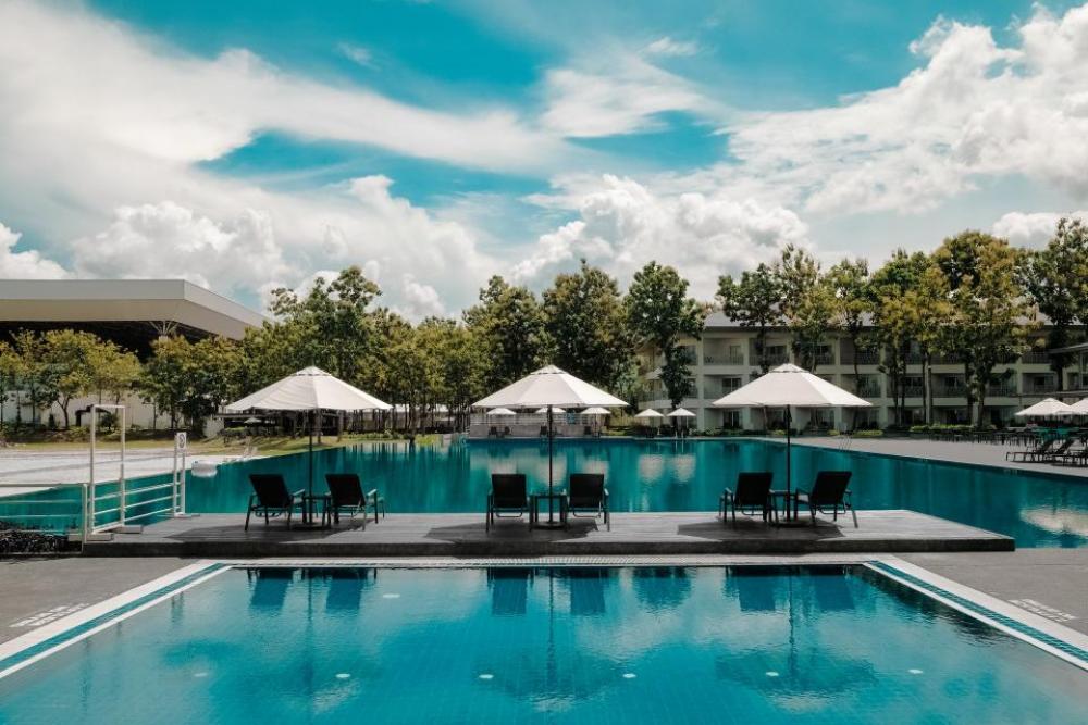 blue sky nature trees resort blue sky nature trees resort