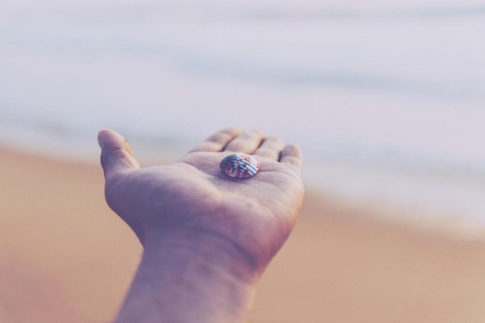 nature beach people hand palm nature beach people hand palm