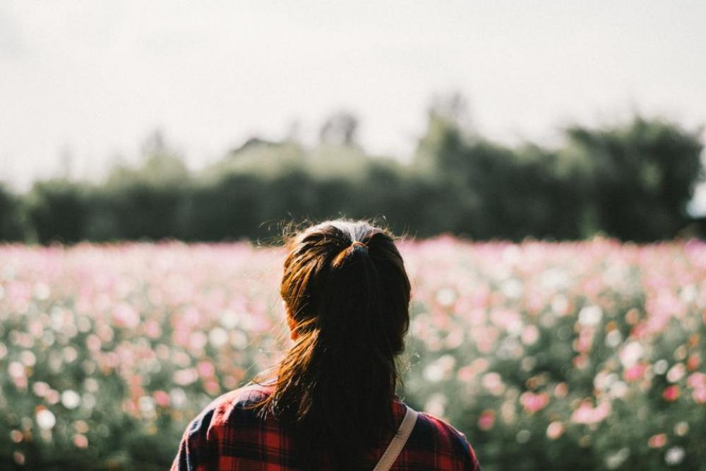 people woman alone field flowers people woman alone field flowers