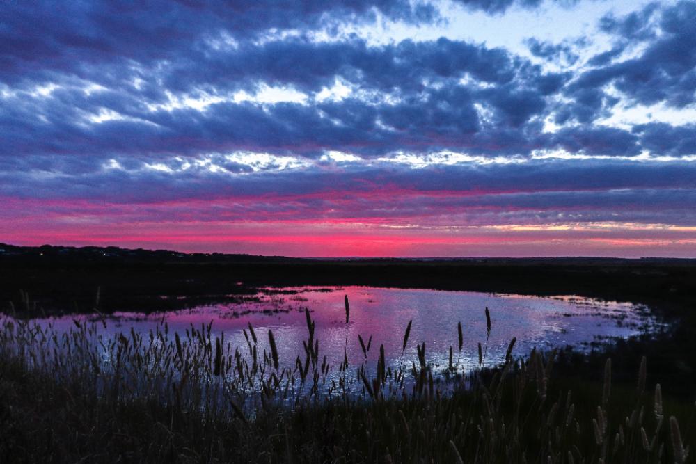 pink sunset clouds water nature pink sunset clouds water nature