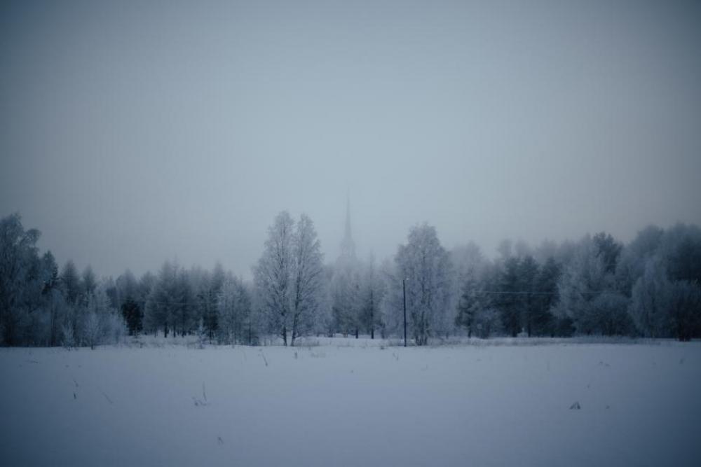 nature landscape forests trees blanket nature landscape forests trees blanket