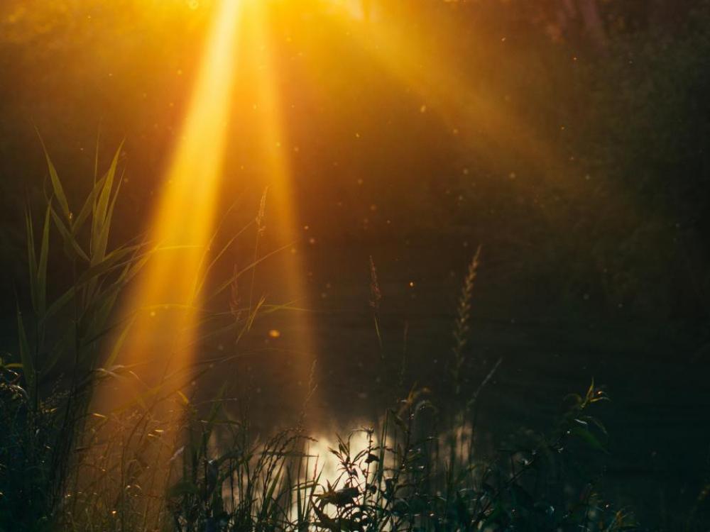 sun rays sunset lake water nature sun rays sunset lake water nature