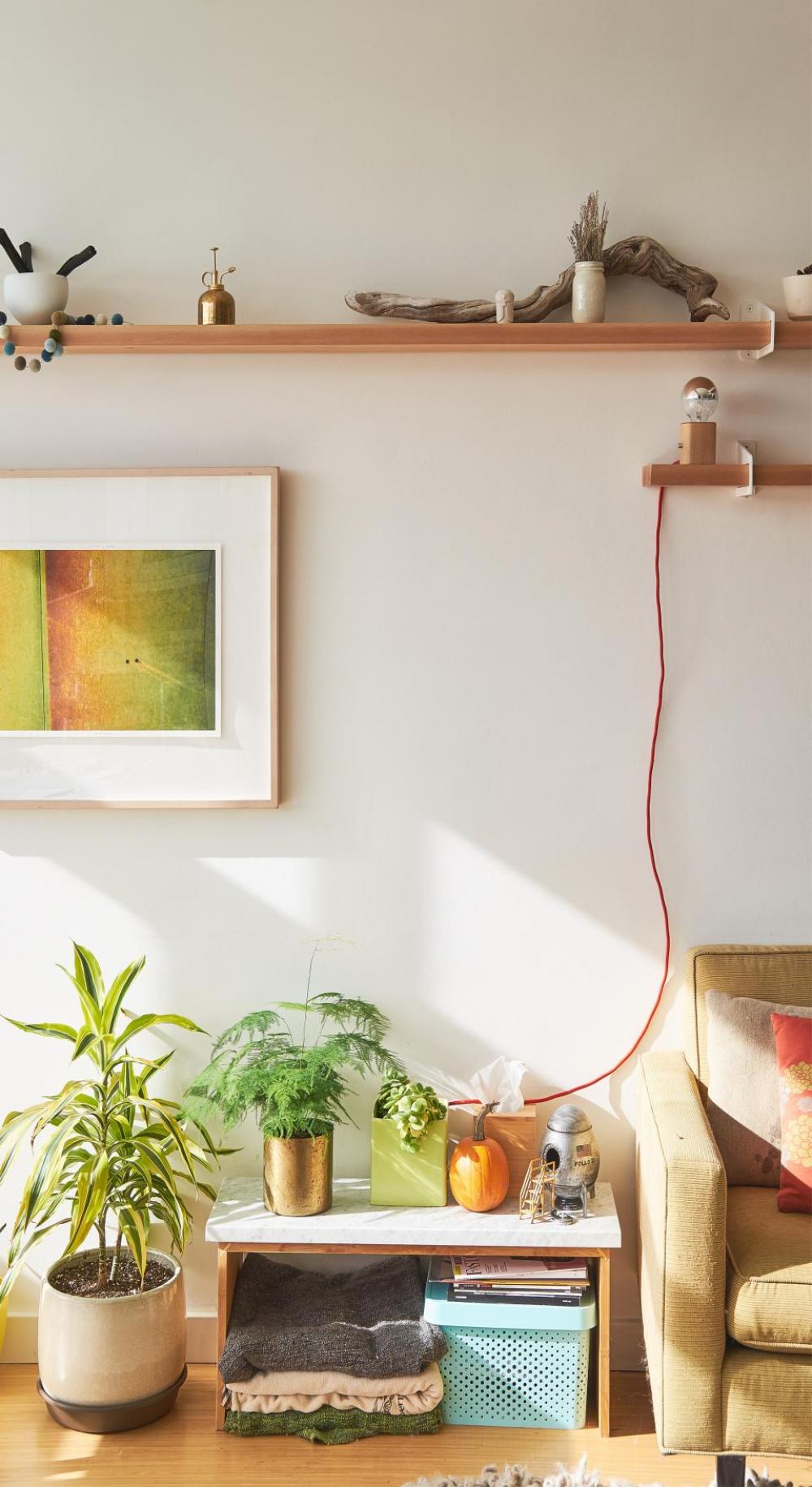 interior design chair couch plant interior design chair couch plant