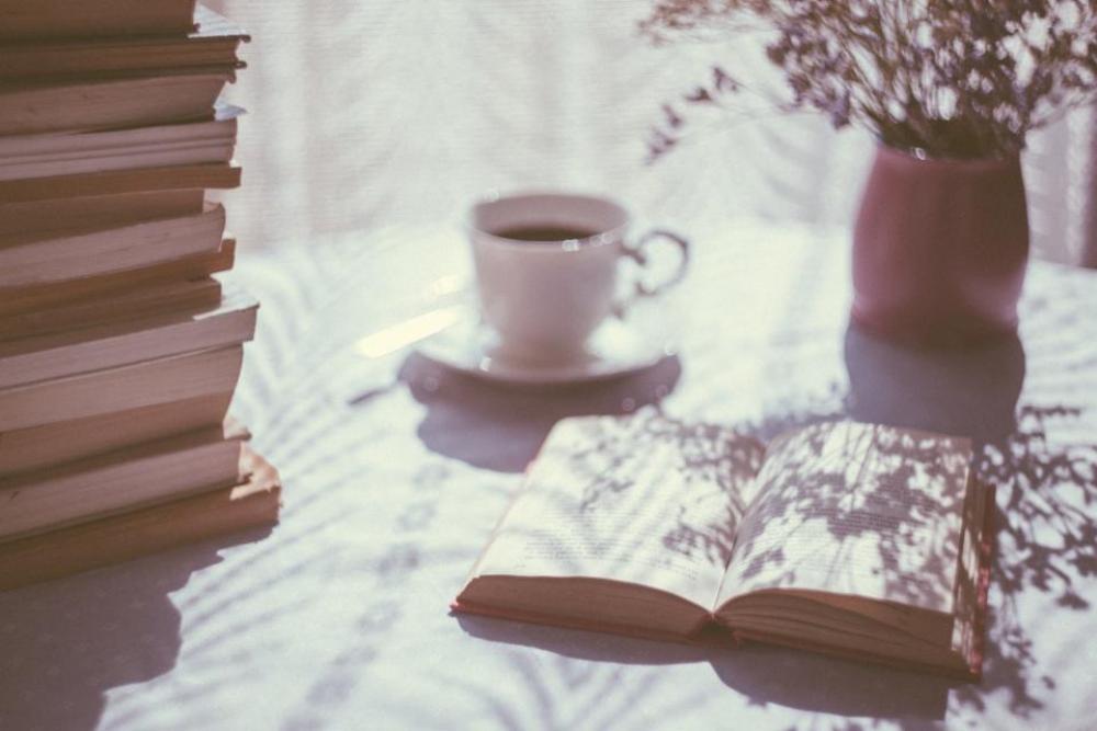 books knowledge education table morning books knowledge education table morning