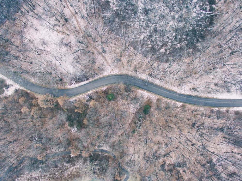 aerial view trees plant nature aerial view trees plant nature