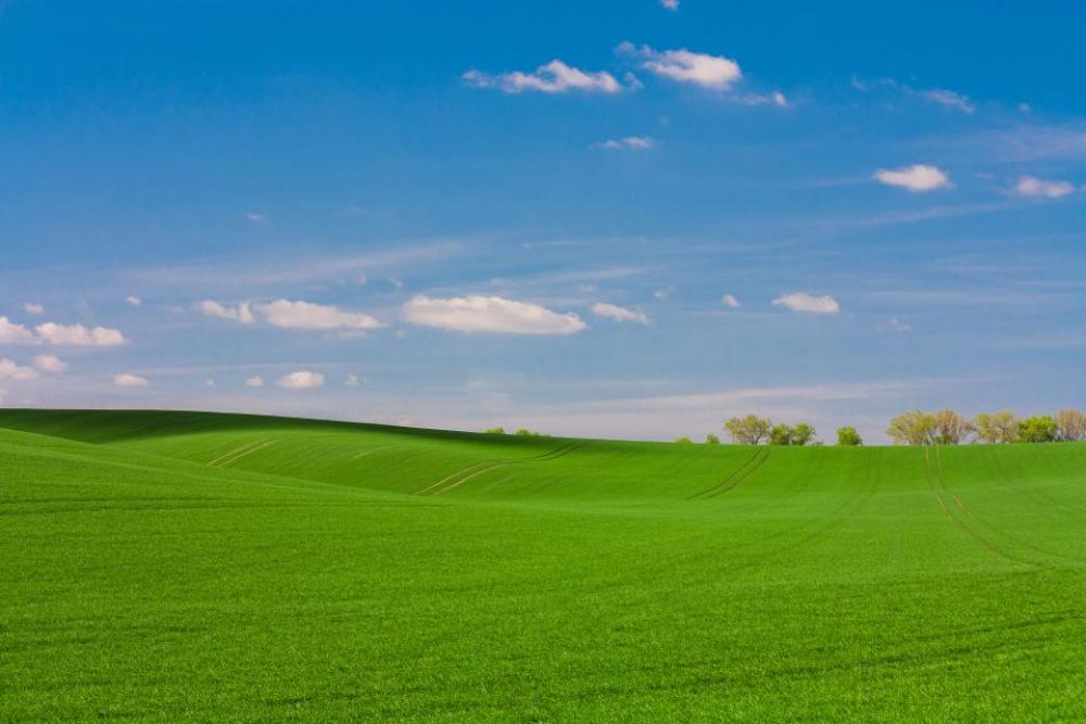 green grass grassland mountain landscape green grass grassland mountain landscape