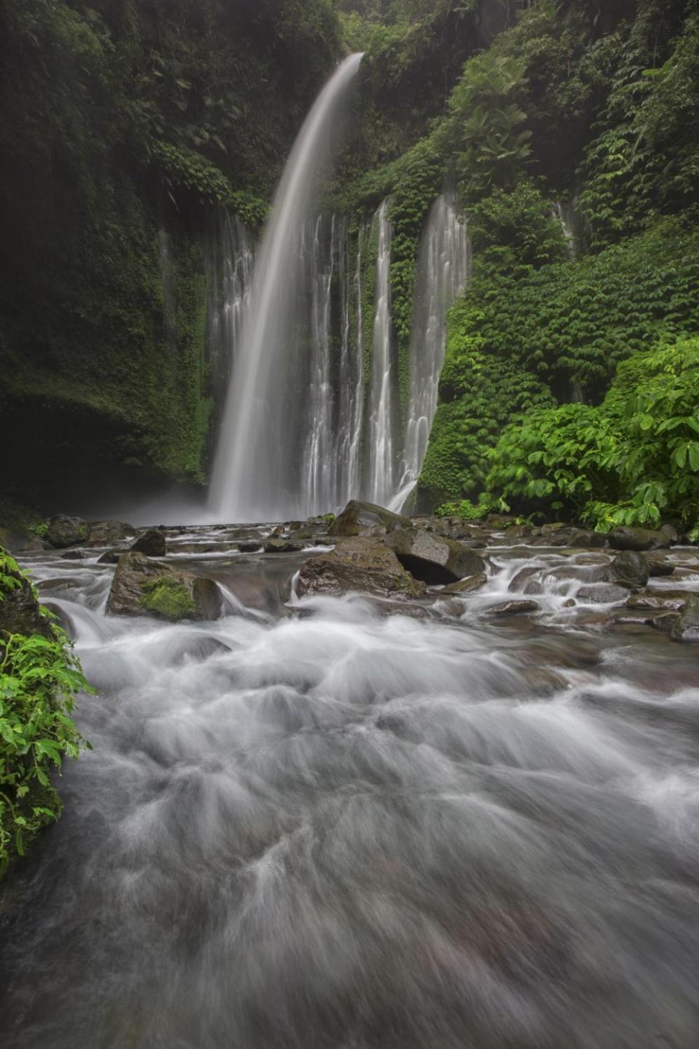 nature water raging waterfalls lush nature water raging waterfalls lush