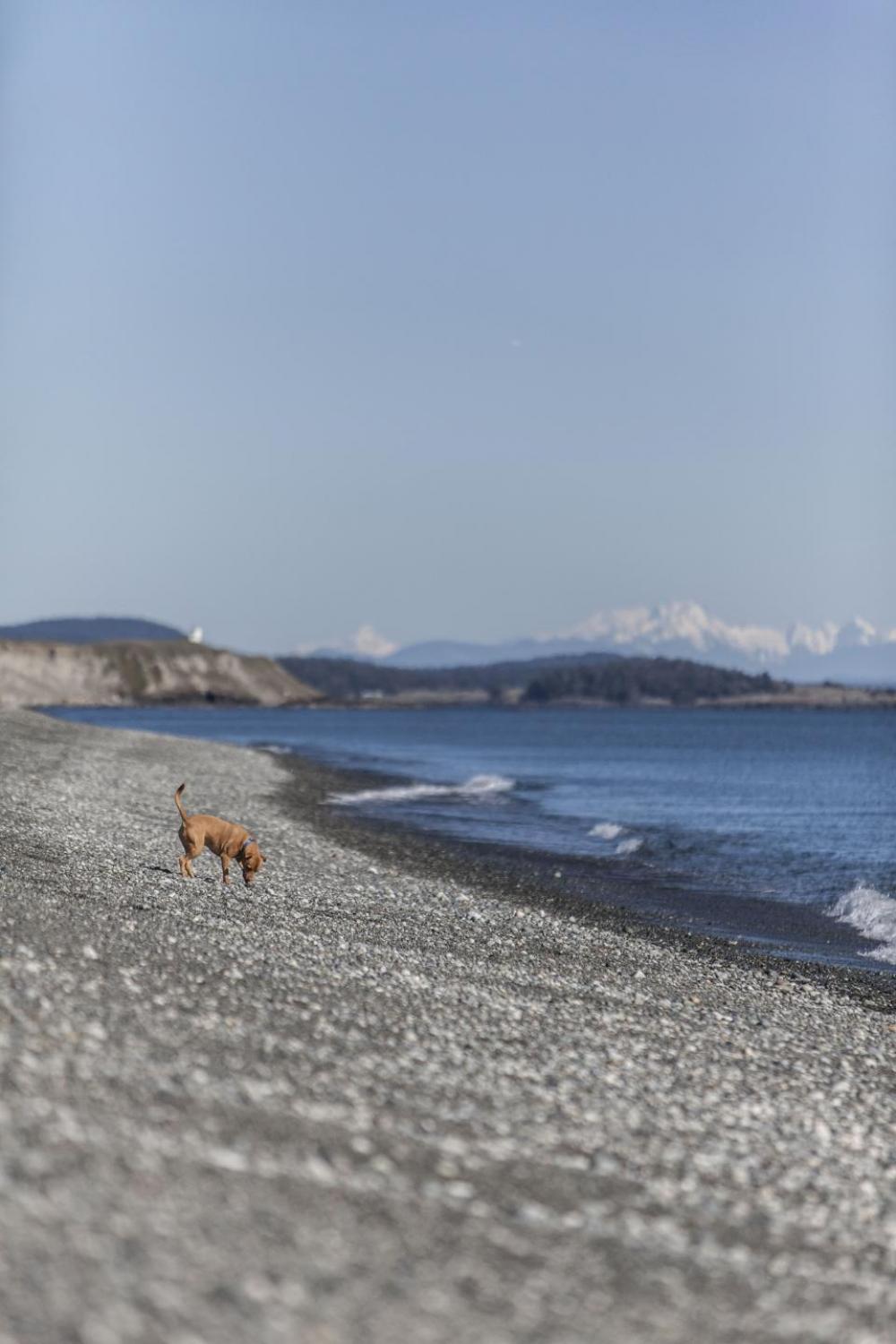 nature water ocean sea beach nature water ocean sea beach