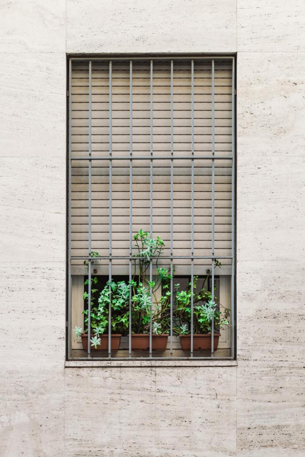 symmetry aesthetics windows grills plants symmetry aesthetics windows grills plants