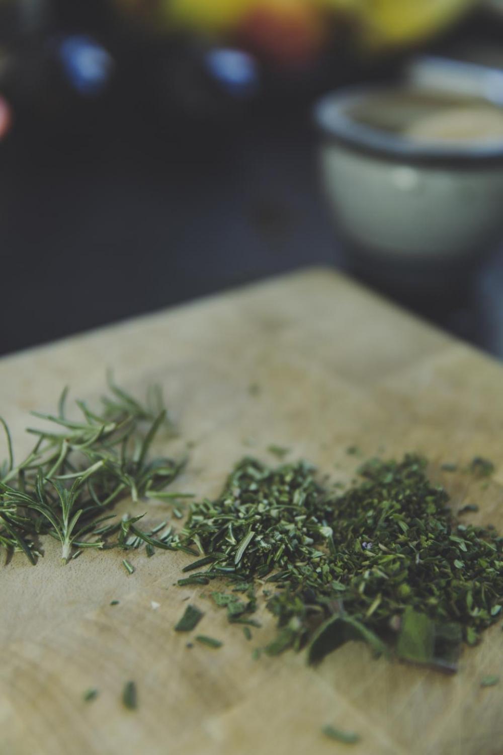 green herbal plant leaves nature green herbal plant leaves nature
