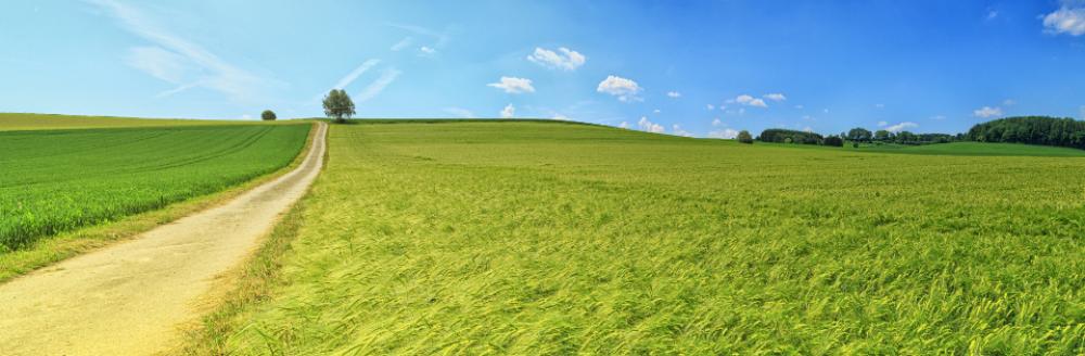 green farm field widescreen wallpaper green farm field widescreen wallpaper