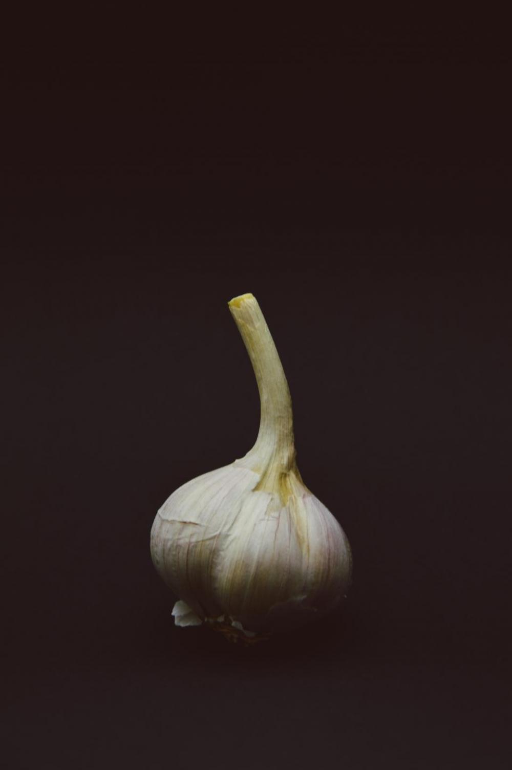 onion food onion food