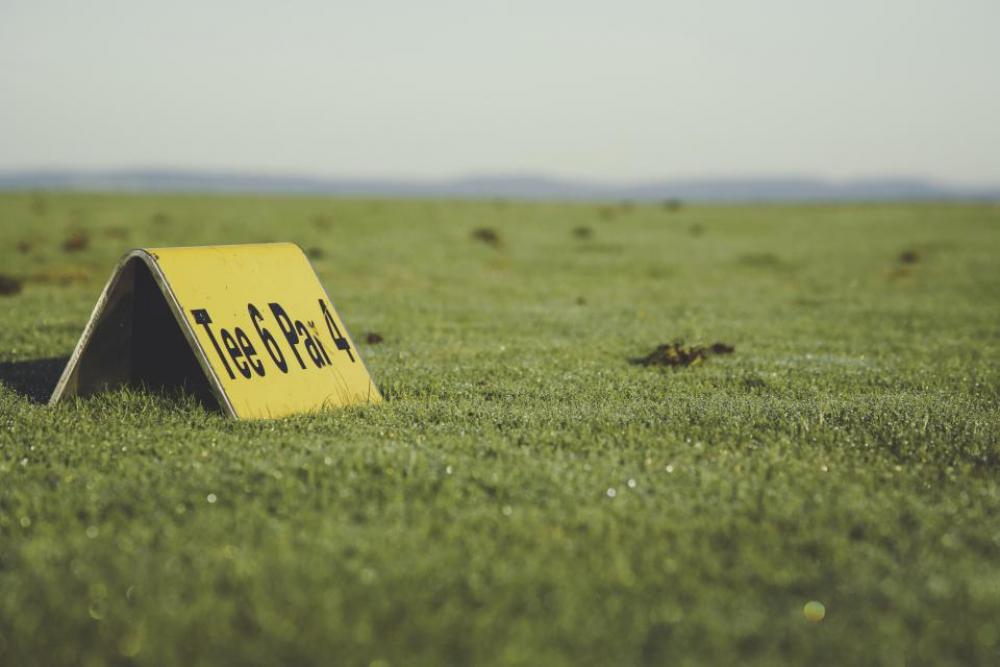 green grass ground nature outdoor green grass ground nature outdoor