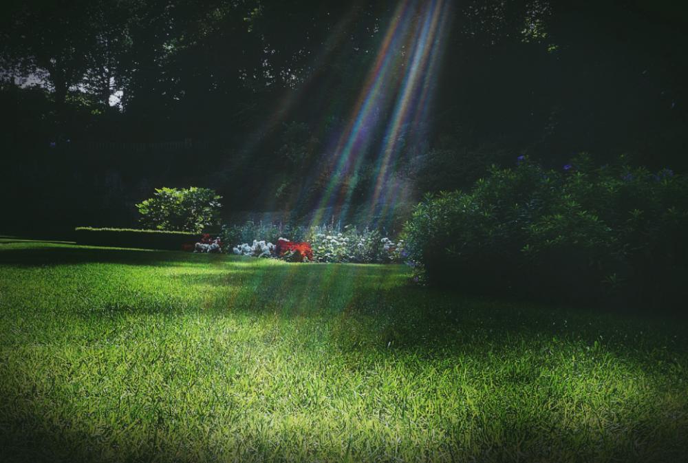 garden park grass sunlight lawn garden park grass sunlight lawn
