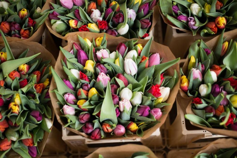 tulips flowers bouquet basket beauty tulips flowers bouquet basket beauty