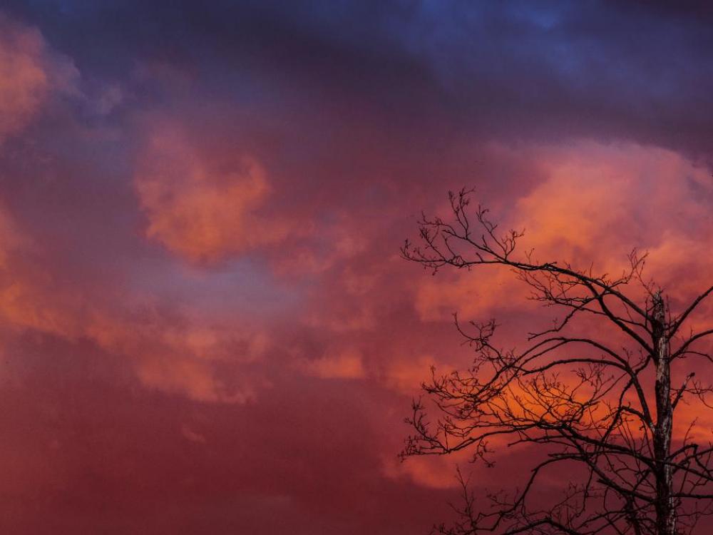 sky orange sunset dusk trees sky orange sunset dusk trees