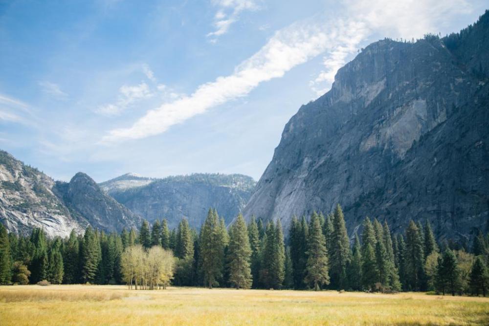 mountain valley nature landscape trees mountain valley nature landscape trees