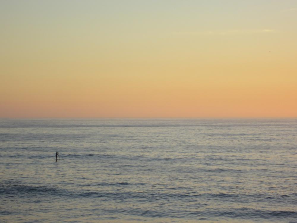 surfer ocean sunset person sport surfer ocean sunset person sport