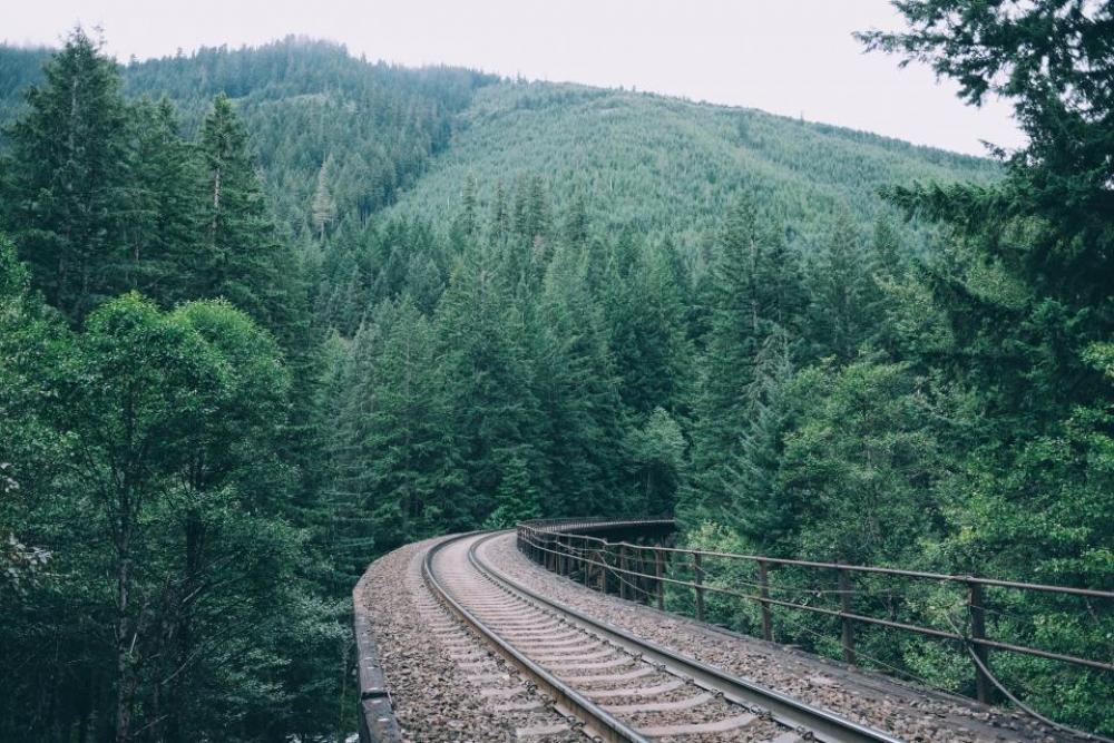 railroad railway train tracks transportation trees railroad railway train tracks transportation trees
