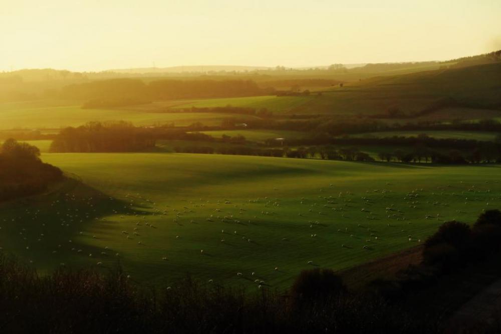 green grass field nature outdoor green grass field nature outdoor