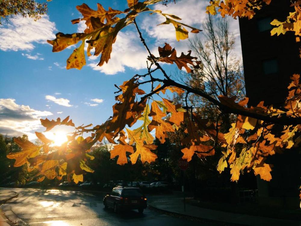 fall autumn sunshine sunset sky fall autumn sunshine sunset sky