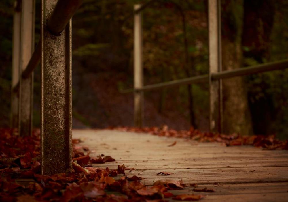 dark bridge structure steel wood dark bridge structure steel wood