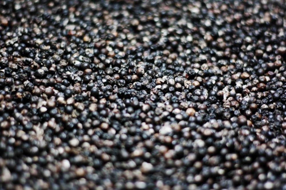 food spice pepper corns still food spice pepper corns still