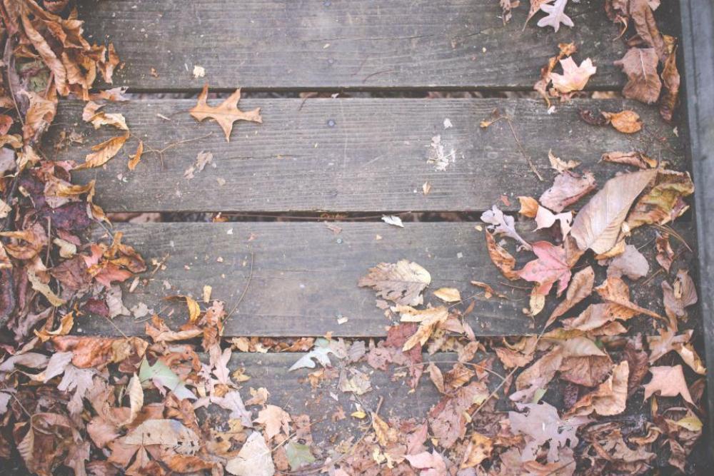 wood deck leaves autumn fall wood deck leaves autumn fall