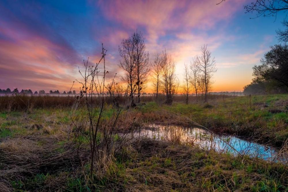 nature plains grass trees water nature plains grass trees water
