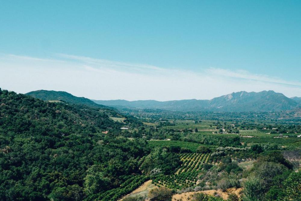 Ojai California vineyards landscape green Ojai California vineyards landscape green