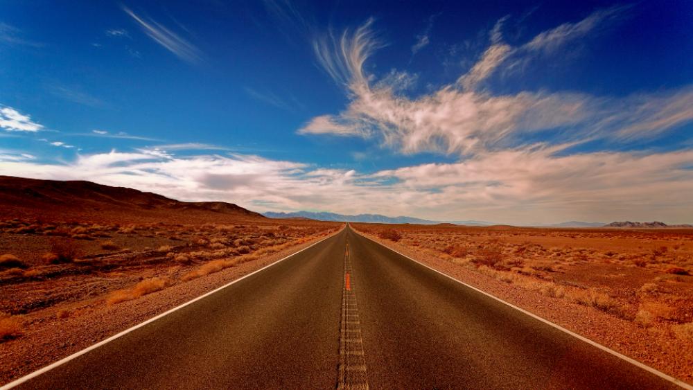 street desert california sky bird street desert california sky bird