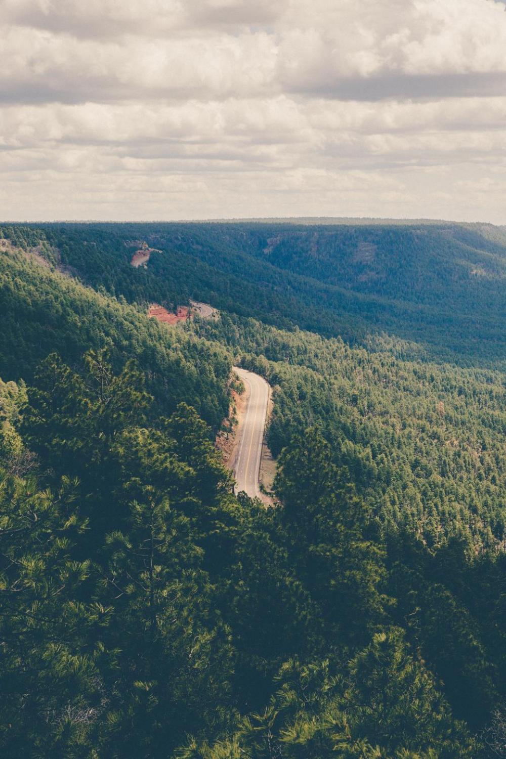 nature landscape plains forests trees nature landscape plains forests trees
