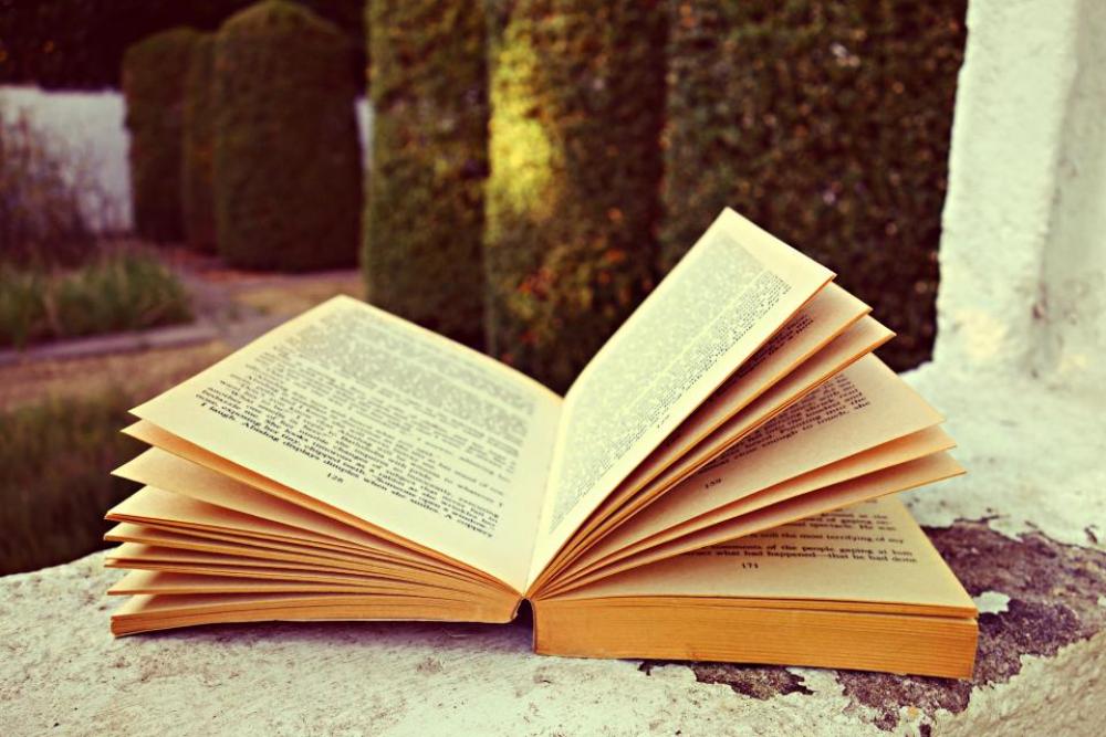 book words letters study read book words letters study read