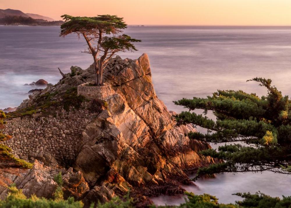 rocks cliff hill trees plant rocks cliff hill trees plant