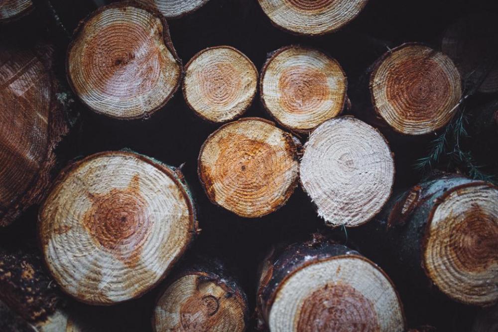 woods logs lumber firewood woods logs lumber firewood