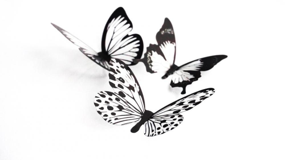 butterflies crafts silhouette art design butterflies crafts silhouette art design