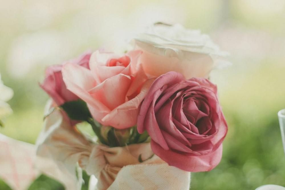 roses flowers bouquet nature roses flowers bouquet nature