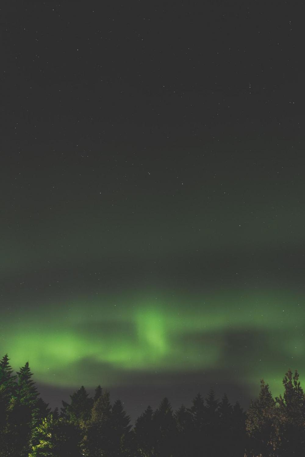aurora green space stars sky aurora green space stars sky