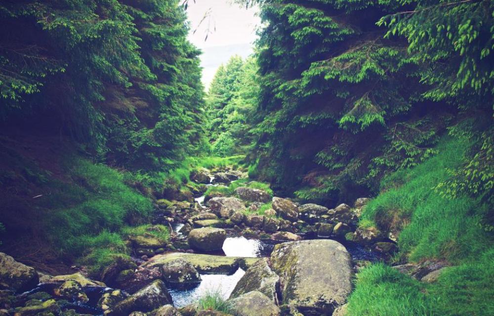 river stream water rocks hiking river stream water rocks hiking