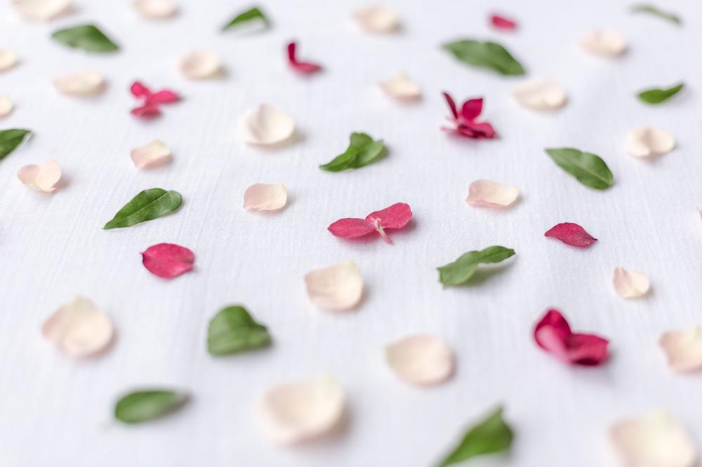 Colorful Flower Petals On A White Sheet Photo Colorful Flower Petals On A White Sheet Photo