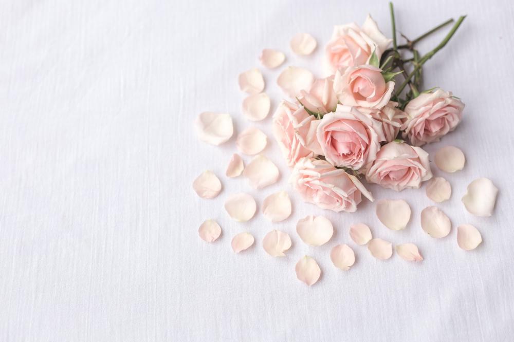 Petals Surrounding A Pink Bouquet Photo Petals Surrounding A Pink Bouquet Photo