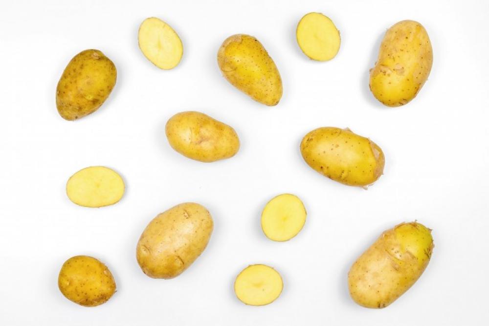 Potatoes isolated on white background. Top view. Potatoes isolated on white background. Top view.