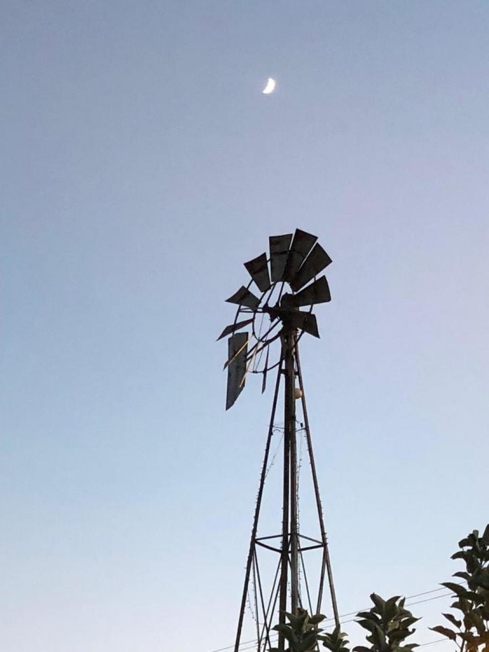 Windmill Windmill