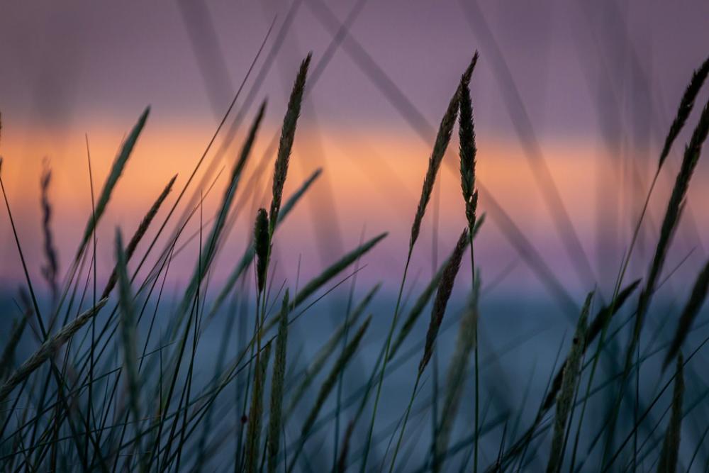 Abendstimmung Sunset Landscape Sea Blue Orange Abendstimmung Sunset Landscape Sea Blue Orange
