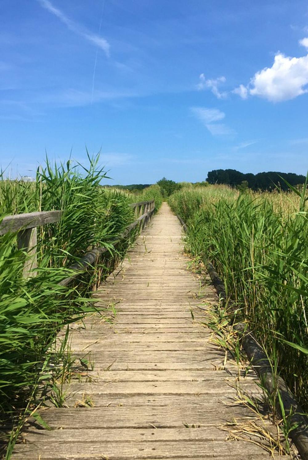 Away Nature Landscape Trail Summer Rest Reed Away Nature Landscape Trail Summer Rest Reed