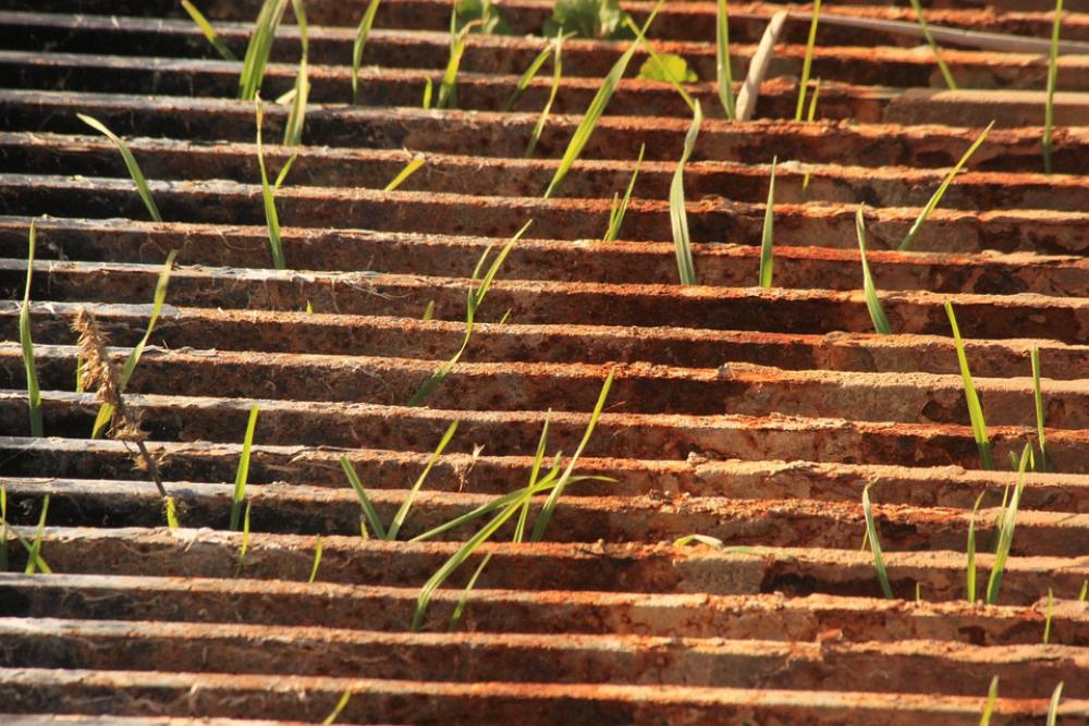 Bars Grass Oxide Freedom Rust Detail Iron Sewer Bars Grass Oxide Freedom Rust Detail Iron Sewer